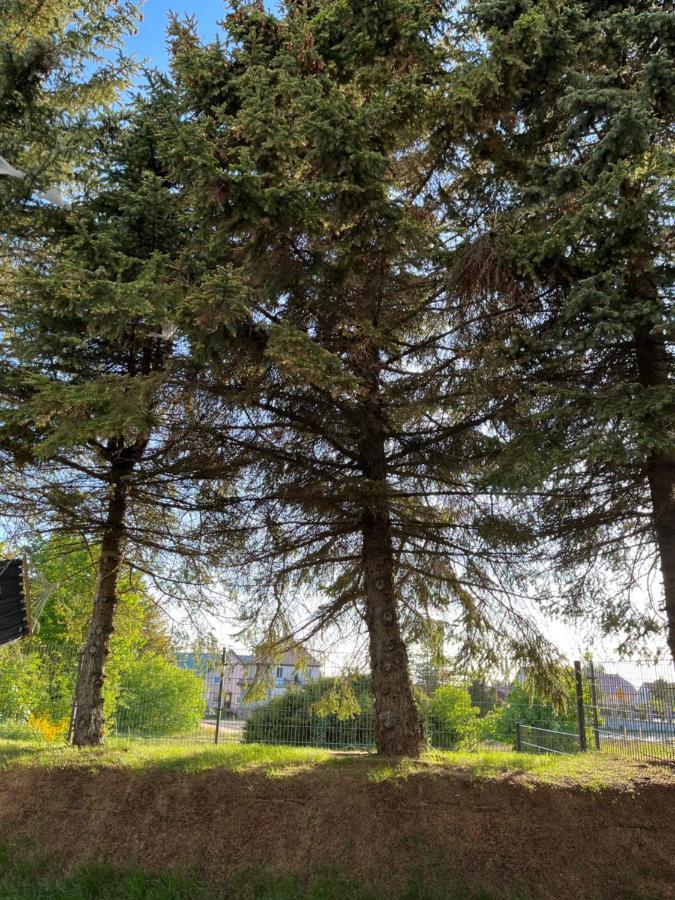 Apartament Pod Swierkiem Jastrzebia Gora Luaran gambar